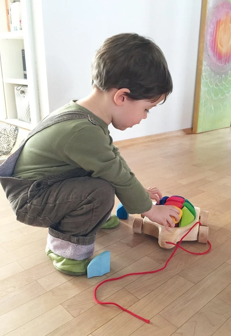 Grimm's - Regenbogen Schildkröte 5 Grimm's - Regenbogen Schildkröte – Bild 3