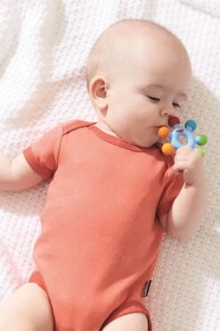 HABA Greifling Farbenrad -Djeco Geschaft haba greifling farbenrad 3