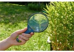 Haba Terra Kids Kinder-Lupe -Djeco Geschaft haba terra kids kinder lupe 3