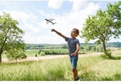 Haba Terra Kids Schleuder-Gleiter -Djeco Geschaft haba terra kids schleuder gleiter 3