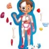 Hape Human Body Puzzle -Djeco Geschaft hape human body puzzle