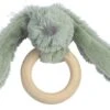 Happy Horse Grünes Kaninchen Richie Beißring Aus Holz - 12 Cm 1 Happy Horse Grünes Kaninchen Richie Beißring Aus Holz - 12 Cm -Djeco Geschaft happy horse gruenes kaninchen richie beissring aus holz 12 cm