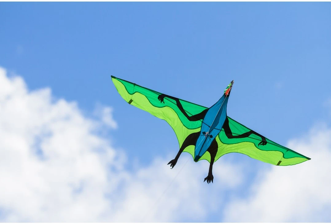 HQ 106516 - Flying Dinosaur 3D-Einleiner, Ab 10 Jahren, 105x180 Cm Und 7m Drachenschwanz, Inkl. 17kp Polyesterschnur 40m Auf Spule, 2-5 Beaufort 5 HQ 106516 - Flying Dinosaur 3D-Einleiner, Ab 10 Jahren, 105x180 Cm Und 7m Drachenschwanz, Inkl. 17kp Polyesterschnur 40m Auf Spule, 2-5 Beaufort – Bild 3