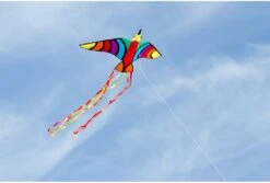 HQ 106522 - Tropical Bird Kinderdrachen Einleiner, Ab 5 Jahren, 75x150cm, Inkl. 17kp Polyesterschnur 40m Auf Spule, 2-5 Beaufort 7 HQ 106522 - Tropical Bird Kinderdrachen Einleiner, Ab 5 Jahren, 75x150cm, Inkl. 17kp Polyesterschnur 40m Auf Spule, 2-5 Beaufort -Djeco Geschaft hq 106522 tropical bird kinderdrachen einleiner ab 5 jahren 75x150cm inkl 17kp polyesterschnur 40m auf spule 2 5 beaufort 3