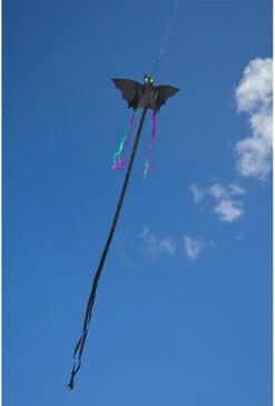 HQ Bat Black S -Djeco Geschaft hq bat black s 3