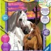 Lobcede Schilderen Op Nummer Serie Paarden Zonsondergang 1 Lobcede Schilderen Op Nummer Serie Paarden Zonsondergang -Djeco Geschaft lobcede schilderen op nummer serie paarden zonsondergang