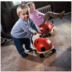 Marienkäfer Klein -Djeco Geschaft marienkaefer klein 2