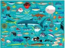 Ocean Life Family Puzzle: 1000 Piece Jigsaw Puzzle: 1000 Piece Puzzle [Misc. Supplies] Mudpuppy And Daviz, Paul -Djeco Geschaft ocean life family puzzle 1000 piece jigsaw puzzle 1000 piece puzzle misc supplies mudpuppy and daviz paul 2