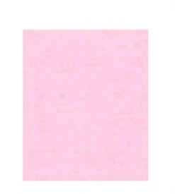 Papier A4 120gr 100 Blatt Rosa