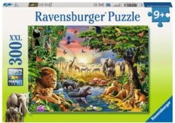 Ravensburger Abendsonne Am Wasserloch