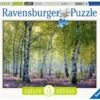 Ravensburger Birkenwald 1 Ravensburger Birkenwald -Djeco Geschaft ravensburger birkenwald