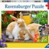 Ravensburger Kleine Kuschelzeit 2 Ravensburger Kleine Kuschelzeit -Djeco Geschaft ravensburger kleine kuschelzeit