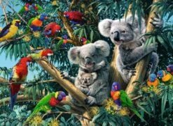 Ravensburger Koalas Im Baum -Djeco Geschaft ravensburger koalas im baum 2