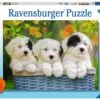 Ravensburger Kuschelige Welpen -Djeco Geschaft ravensburger kuschelige welpen