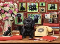 Ravensburger Meine Treuen Freunde -Djeco Geschaft ravensburger meine treuen freunde 2