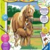 Ravensburger Paardenliefde