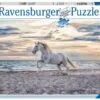 Ravensburger Pferd Am Strand -Djeco Geschaft ravensburger pferd am strand