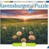 Ravensburger Pusteblumen Im Sonnenuntergang -Djeco Geschaft ravensburger pusteblumen im sonnenuntergang