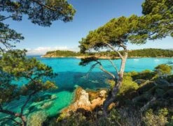 Ravensburger Schöne Aussicht 5 Ravensburger Schöne Aussicht -Djeco Geschaft ravensburger schoene aussicht 2