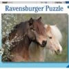 Ravensburger Schöne Pferde -Djeco Geschaft ravensburger schoene pferde