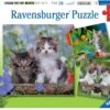Ravensburger Süße Samtpfötchen -Djeco Geschaft ravensburger suesse samtpfoetchen