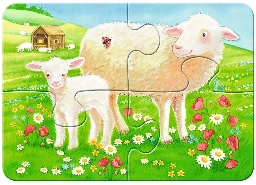 Ravensburger Unsere Lieblingstiere 5 Ravensburger Unsere Lieblingstiere – Bild 3