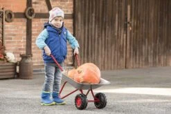 Rolly Toys Stevige Kruiwagen Metaal Grijs & Rood Met Dubbel Wiel -Djeco Geschaft rolly toys stevige kruiwagen metaal grijs rood met dubbel wiel 2