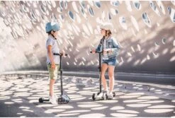 Scoot And Ride Kinder-Roller Highwaykick 5 - Esche -Djeco Geschaft scoot and ride kinder roller highwaykick 5 esche 3