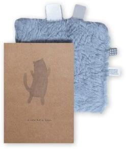 Snoozebaby Geschenkkarte Fresh Blue