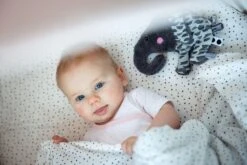 Snoozebaby Soft Toy / Cuddle Toy Elly Elephant Frost Grey 11 Snoozebaby Soft Toy / Cuddle Toy Elly Elephant Frost Grey -Djeco Geschaft snoozebaby speenknuffel elly elephant frost grey 1