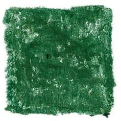 Stockmar Wachsmalblöcke - Einzelfarben - 12 Blöcke, Olivgrün