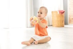 Tolo Gripper Rattle Baby Toy -Djeco Geschaft tolo baby grijp rammelaar pastelkleur