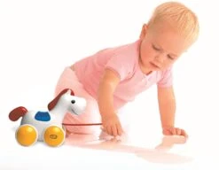 Tolo Classic Toy Geschenk-Set - 3 Stück -Djeco Geschaft tolo classic activiteitenset large trekfiguur stapeltoren vormensorteerder 1