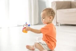 Tolo Mausrassel -Djeco Geschaft tolo classic muis rammelaar 1