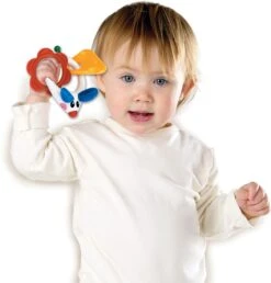 Tolo Mausrassel -Djeco Geschaft tolo classic muis rammelaar 2