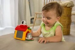 Tolo Pop Up Puppies Baby Toy By Tolo -Djeco Geschaft tolo classic pop up speelgoed honden