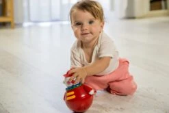 Tolo Stehaufmännchen Clown, Roly Poly, Beweglich, Ab 6 Monaten, Ca. 15 X 16 X 11 Cm -Djeco Geschaft tolo classic tuimelaar roly poly clown met geluid