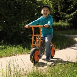 Top Trike Lernfahrrad Top Bike -Djeco Geschaft top trike lernfahrrad top bike 3