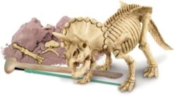 Triceratops Zum Ausgraben + -Djeco Geschaft triceratops zum ausgraben plus 3
