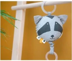 Trixie Musikspielzeug - Mr. Raccoon 7 Trixie Musikspielzeug - Mr. Raccoon -Djeco Geschaft trixie musikspielzeug mr raccoon 3
