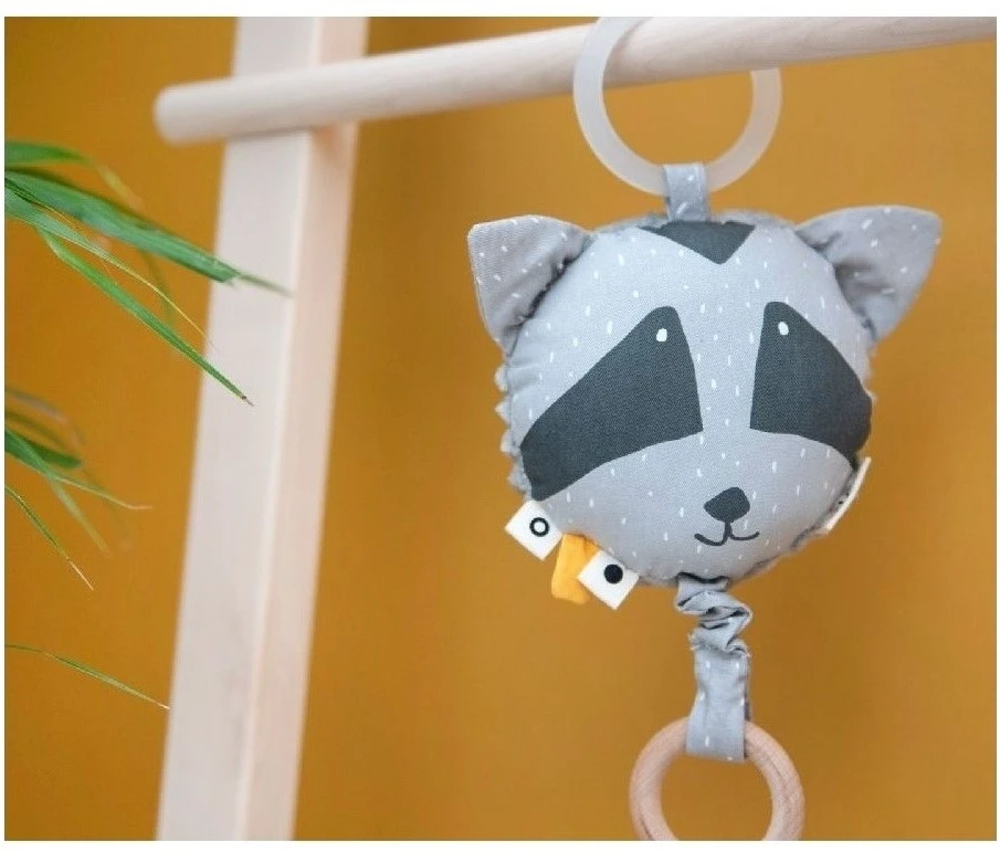 Trixie Musikspielzeug - Mr. Raccoon 5 Trixie Musikspielzeug - Mr. Raccoon – Bild 3