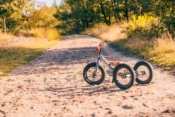 Trybike Laufrad 2-in-1 Steel - Grau -Djeco Geschaft trybike loopfiets 2 in 1 steel grijs 6