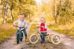 Trybike Laufrad 2-in-1 Steel - Grau -Djeco Geschaft trybike loopfiets 2 in 1 steel wit 6