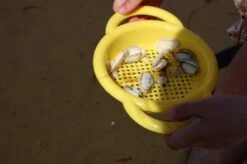 Viking Toys Ecoline Sand & Wasser - Eimerset -Djeco Geschaft viking toys ecoline sand wasser eimerset 3